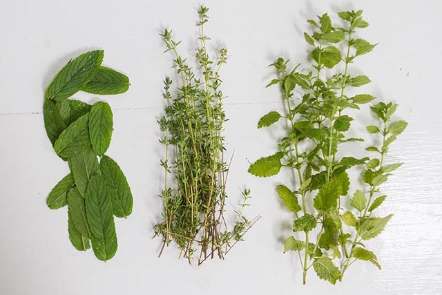 Peppermint, Parsley, and Sage