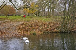 Hampstead Pond Swimming